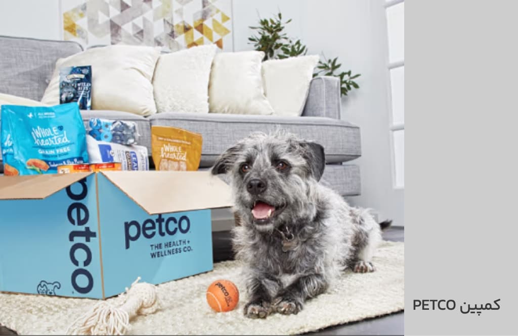 petco-campaign-2.jpg